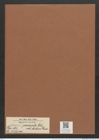 Eunotia praerupta var. bidens Grun. (de-Toni-Nr.: Genus 104, Species 3155) Zeichnungen Sammlung Grunow Mappe 03403 (Herbarium_W_Grunow_drawings_Folder_03403)
